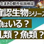 カオス【やりすぎ！珠希の都市伝説検証】UMA（未確認生物）シリーズ２～人魚は存在する？ 岡山のお寺の「人魚のミイラ」は哺乳類か、魚類か？【占い】（2022/4/14撮影）