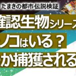 【やりすぎ！珠希の都市伝説検証】UMA（未確認生物）シリーズ１～ツチノコは存在する？ いつか捕獲される？【占い】（2022/4/3撮影）