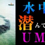 【UMA】水中に生息する未確認生物