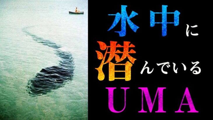 【UMA】水中に生息する未確認生物