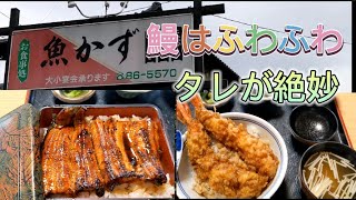 【千代田町】魚かず　鰻はふわふわ…未確認生物UMAが撮れちゃった