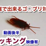 【心霊系YouTuber】怪奇現象を人為的に起こせるか検証してみた…ではなく、害虫対策の動画です。