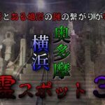 【心霊】最後の心スポの場所で「神奈川ジェイソン村」との繋がりが！？　※japanese horror