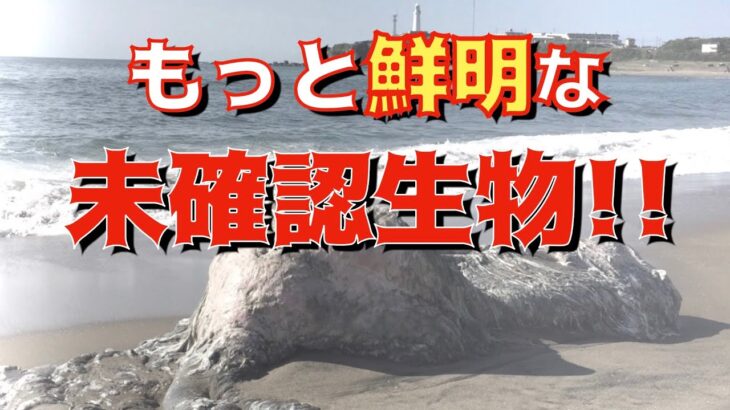 【閲覧注意】もっと鮮明なグロブスター【未確認生物】かっぱコレno.107【銚子市】