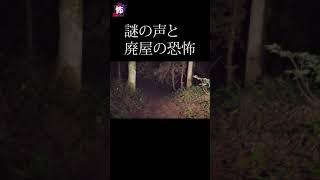 廃村 で遭遇した 心霊現象 がヤバすぎる #shorts