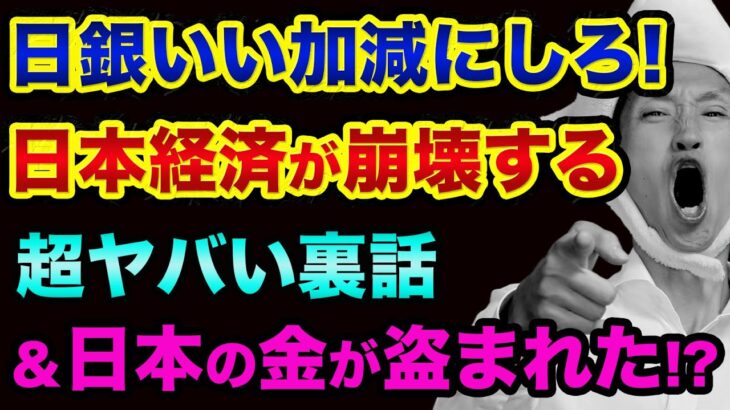 日銀の円安政策で、日本経済が崩壊する超ヤバい裏話。犠牲になるのはインフレ値上げで苦しむ日本人。日本の金がロスチャイルドに盗まれてます【 ドル円 日経平均 都市伝説 円安 値上げ 】