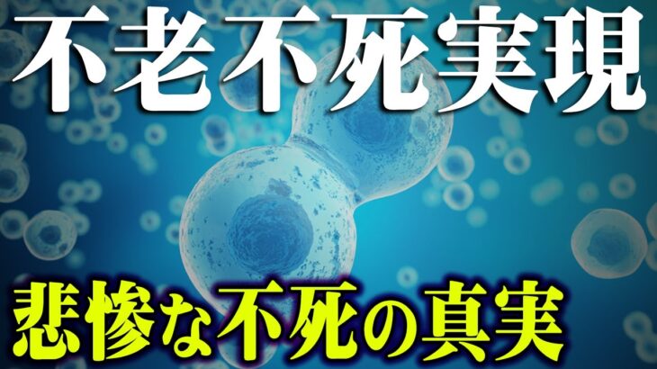 遂に実現する不老不死の世の中。世界のトップがたどり着く不老不死とその裏に隠された陰謀がヤバい【 都市伝説 不老不死 メタバース 】