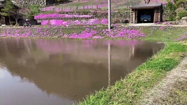 心霊現象かと思った