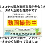 【未確認生物調査企画】チャンネルＣＭ　第２弾