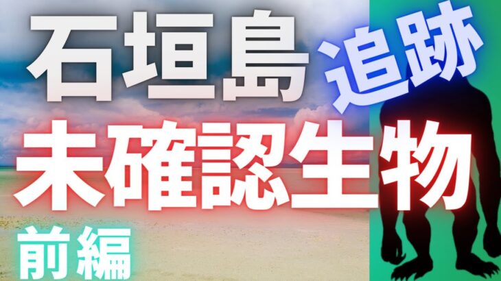 【石垣島バラエティ】遂に未確認生物ジャラモンの捕獲に成功⁉