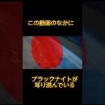 都市伝説 ブラックナイト