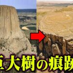 超古代に実在した世界を覆う巨大樹ユグドラシルの証拠が判明…存在がこれまで隠されてきた理由がヤバすぎる【 都市伝説 巨木 巨人 北欧神話 ユグドラシル 】