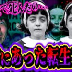 【実話】本当にあった『転生』事故の記憶を持って生まれた双子がヤバい…。【都市伝説】