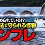 存在が認められている！？ 州保護法で守られる怪物 メンフレ