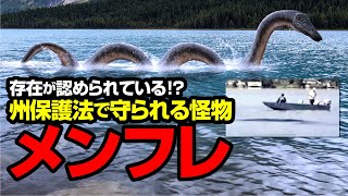 存在が認められている！？ 州保護法で守られる怪物 メンフレ