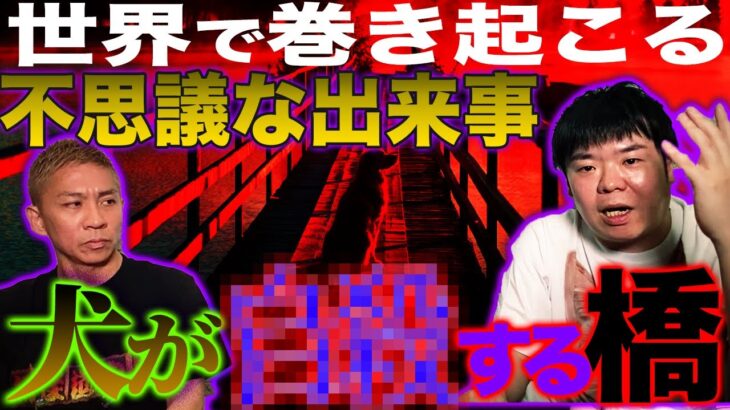 【都市伝説】世界中で起こった不思議な出来事…犬が自●する橋【ナナフシギ】