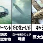 【衝撃】実在する未確認生物ランキングがツッコミどころ満載だったwwwwww#15【なろ屋】【ツッコミ】【都市伝説】