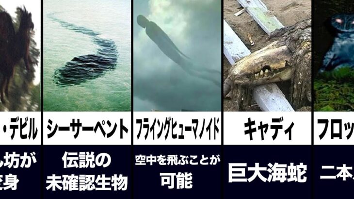 【衝撃】実在する未確認生物ランキングがツッコミどころ満載だったwwwwww#15【なろ屋】【ツッコミ】【都市伝説】