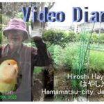 02072 Video Diary Fake Spiritualist Phenomenon インチキ心霊現象とレンズ・フレア＋インチキUFO動画by Hiroshi Hayashiはやし浩司JP