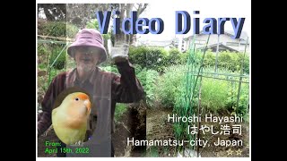 02072 Video Diary Fake Spiritualist Phenomenon インチキ心霊現象とレンズ・フレア＋インチキUFO動画by Hiroshi Hayashiはやし浩司JP