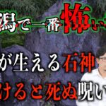 【怪談】新潟で1番怖い場所⁉︎手足が生える石神【現地取材】