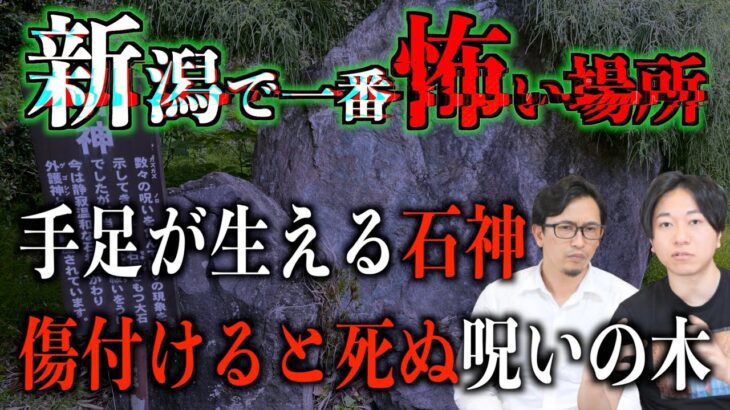 【怪談】新潟で1番怖い場所⁉︎手足が生える石神【現地取材】