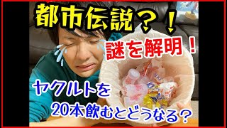 【都市伝説】どら焼きは1分以内に絶対食べきれない？ヤクルトを一気に20本を飲んだら吐くってホント？【検証】