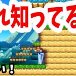 【心霊現象？】ここに挟まると意味不明な事が起きます・・・マリオメーカー2 Super Mario Maker 2 マリオちはや