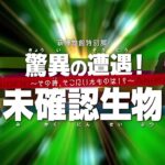 【萩博物館】2017年度夏期特別展「驚異の遭遇！未確認生物　～その時、そこにいたものは！？～」プロローグ映像