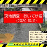 【未確認生物調査企画】現地調査　おいてけ堀（2020.10.11）