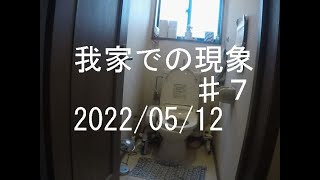 我家での現象 2022/05/12 午後3:00頃 ♯7 【心霊、幽霊、霊障、ポルターガイスト、 ghost、 Poltergeist】