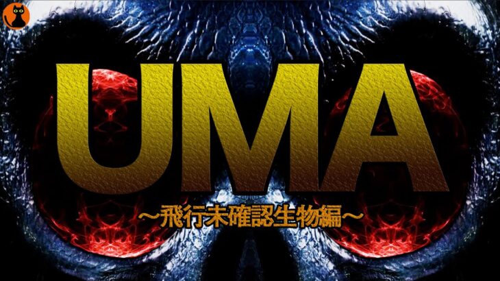 #23.UMA未確認生物図鑑(飛行UMA編)