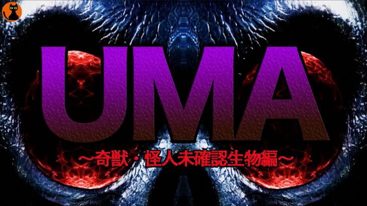 #24.UMA未確認生物図鑑(奇獣・怪人UMA編)