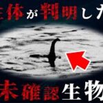 すでに正体が判明してしまった未確認生物5選がヤバすぎた…【 都市伝説 UMA 未確認動物 】