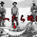 【ゆっくり解説】5度の大量絶滅を生き抜いた⁉トゥリモンストゥルム【UMA】