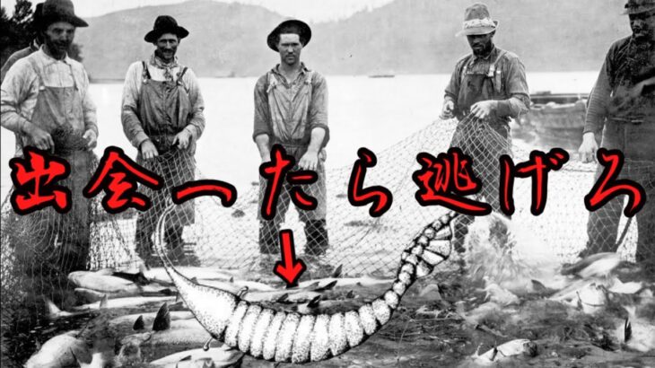 【ゆっくり解説】5度の大量絶滅を生き抜いた⁉トゥリモンストゥルム【UMA】