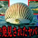 【都市伝説】海岸にて発見されたヤバすぎるモノや生物7選！！