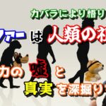 ルシファーはカバラにより悟りを拓いた人間の祖！？更に霊能者の嘘を暴く第89回！