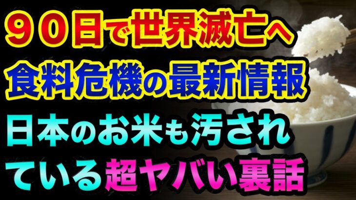 90日で世界滅亡する？食料危機の最新情報の超ヤバい裏話。日本が1番ヤバいので備蓄を始めよう。汚される食料と日本のお米の未来もヤバすぎる【 食糧危機 日経平均 都市伝説 備蓄 】