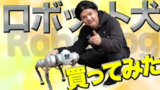 Mr.都市伝説 関暁夫【ロボット犬を買う】