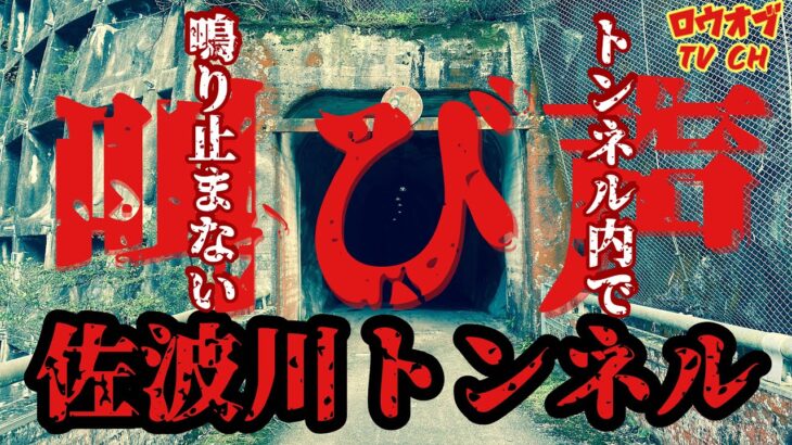 N.68【霊現象多発】トンネル内に鳴り響く叫び声は殉職者の声か、それとも…「佐波川トンネル」【心霊スポット】japanese horror