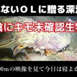 ねむれないOL達へ！深海魚！未確認生物！を見て寝よう！