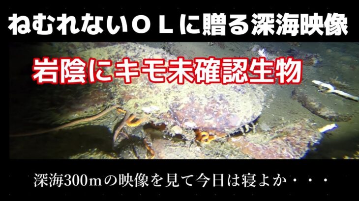 ねむれないOL達へ！深海魚！未確認生物！を見て寝よう！