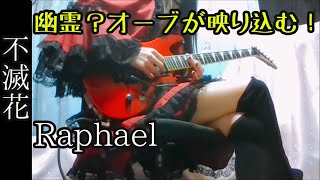 【幽霊が映り込む】Raphael 不滅花 弾いてみた【心霊現象】ラファエル 演奏してみた 秋風の狂詩曲 華月 rice 櫻井有紀 咲人 夢人 ナイトメア 不滅華 Love story cover