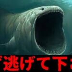 【未確認生物】謎の危険生物SCPの真実とその生態  Ep3:謎の海洋生物と機動部隊【都市伝説】