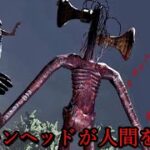 【都市伝説】サイレンヘッドになって人間を襲うゲームが面白すぎる【Siren Head】