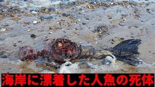 【衝撃映像】カメラが捉えた奇妙な未確認生物TOP6 【都市伝説】