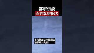 世にも奇妙な徘徊者　#都市伝説  #怪談 #怖い話 #TikTok #Shorts