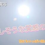 【超謎】美味しそうな質感のUFO 〜他にもたくさん飛んでるよ♪〜