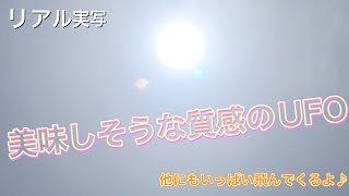 【超謎】美味しそうな質感のUFO 〜他にもたくさん飛んでるよ♪〜